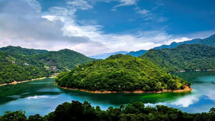 创新高标准高端